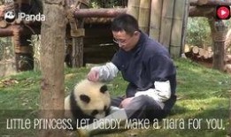 记者新皮肤爆料视频大全,全方位视频爆料大盘点